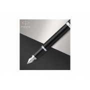 Перьевая ручка Parker IM, F