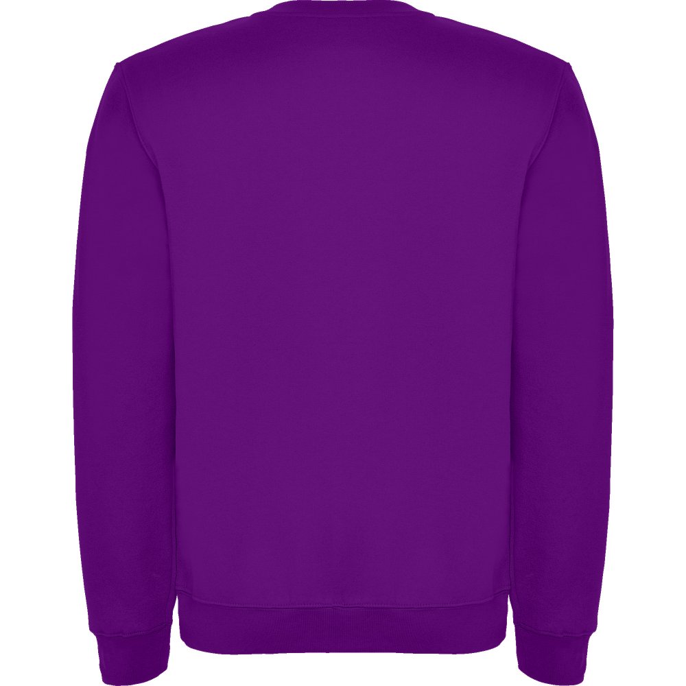 Джемпер детский CLASICA ФИОЛЕТОВЫЙ, 11/12 арт. SU10704471 Джемпер детский CLASICA ФИОЛЕТОВЫЙ, 11/12 арт. SU10704471