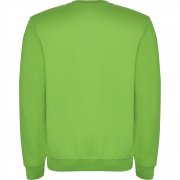 Джемпер детский CLASICA СВЕТЛО-ЗЕЛЕНЫЙ, 7/8 арт. SU107042114 Джемпер детский CLASICA СВЕТЛО-ЗЕЛЕНЫЙ, 7/8 арт. SU107042114