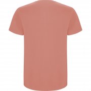 Футболка детская STAFFORD, КИРПИЧНЫЙ 5/6 арт. CA668141266