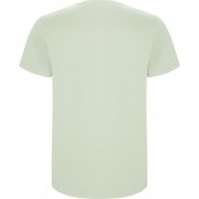 Футболка детская STAFFORD, ТУМАННО-ЗЕЛЕНЫЙ 9/10 арт. CA668143264