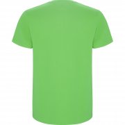 Футболка детская STAFFORD, СВЕТЛО-ЗЕЛЕНЫЙ 3/4 арт. CA668140114