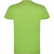 Футболка детская  BEAGLE, СВЕТЛО-ЗЕЛЕНЫЙ 11/12 арт. CA655444114
