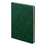 Ежедневник недатированный Muse, зеленый, А5, с декоративной коричневой полосой, блок в линейку Зеленый