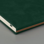 Ежедневник недатированный Muse, зеленый, А5, с декоративной коричневой полосой, блок в линейку Зеленый