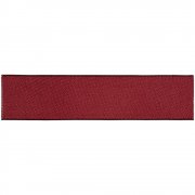 Лейбл тканевый Epsilon, S, бордовый