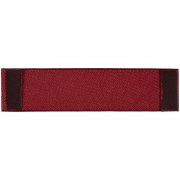 Лейбл тканевый Epsilon, S, бордовый