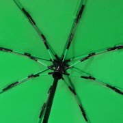 Автоматический противоштормовой зонт Dakota, зеленый арт. 8017.04