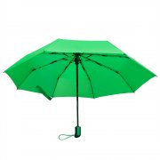 Автоматический противоштормовой зонт Dakota, зеленый арт. 8017.04 Автоматический противоштормовой зонт Dakota, зеленый арт. 8017.04