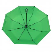 Автоматический противоштормовой зонт Dakota, зеленый арт. 8017.04