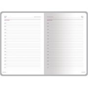 Ежедневник недатированный А6+ «Sidney Nebraska» с серебряным срезом