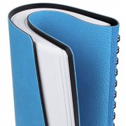 Ежедневник Strep Front, недатированный, голубой арт. 17283.14 Ежедневник Strep Front, недатированный, голубой арт. 17283.14