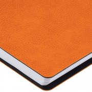 Ежедневник Strep Front, недатированный, оранжевый арт. 17283.20 Ежедневник Strep Front, недатированный, оранжевый арт. 17283.20