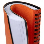 Ежедневник Strep Front, недатированный, оранжевый арт. 17283.20 Ежедневник Strep Front, недатированный, оранжевый арт. 17283.20