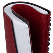 Ежедневник Strep Front, недатированный, красный арт. 17283.50 Ежедневник Strep Front, недатированный, красный арт. 17283.50