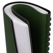 Ежедневник Strep Front, недатированный, зеленый арт. 17283.90 Ежедневник Strep Front, недатированный, зеленый арт. 17283.90