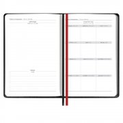Ежедневник Alanis, недатированный, черный c красным арт. 18299.35 Ежедневник Alanis, недатированный, черный c красным арт. 18299.35