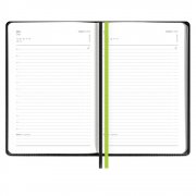 Ежедневник Alanis, недатированный, черный c зеленым арт. 18299.39 Ежедневник Alanis, недатированный, черный c зеленым арт. 18299.39