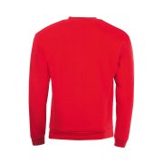 Толстовка свитшот SPIDER 260 Красный арт. 701168.145