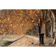 Сумка-рюкзак XD Design Bobby Bizz 2.0 с защитой от карманников арт. P705.925