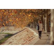 Сумка-рюкзак XD Design Bobby Bizz 2.0 с защитой от карманников арт. P705.925