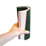 Ежедневник недатированный "FunkyPlan", 130*210 мм, зеленый, красный форзац, в линейку Зеленый