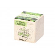 Набор для выращивания «Лиственница Сибирская» арт. 822147 Набор для выращивания «Лиственница Сибирская» арт. 822147