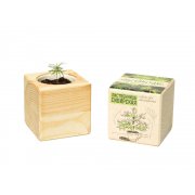 Набор для выращивания «Лиственница Сибирская» арт. 822147 Набор для выращивания «Лиственница Сибирская» арт. 822147