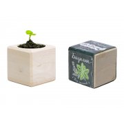 Набор для выращивания «Базилик» арт. 822146