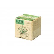 Набор для выращивания «Сосна обыкновенная» арт. 822145 Набор для выращивания «Сосна обыкновенная» арт. 822145