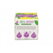 Набор для выращивания «Мята»