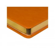 Ежедневник недатированный А5 «Megapolis Nebraska»