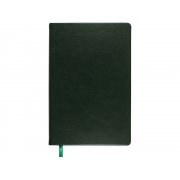 Ежедневник недатированный А5 «Megapolis Nebraska»