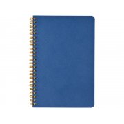 Бизнес тетрадь А5 «Pragmatic» арт. 7-60-1255.07