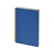 Бизнес тетрадь А5 «Pragmatic» арт. 7-60-1255.07