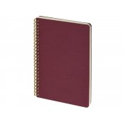 Бизнес тетрадь А5 «Pragmatic»