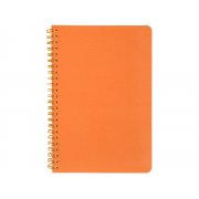 Бизнес тетрадь А5 «Pragmatic»