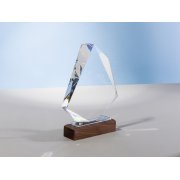 Награда «Marvel»