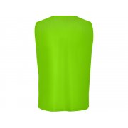 Манишка спортивная «Roma», унисекс арт. 417PT222