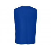 Манишка спортивная «Roma», унисекс арт. 417PT05