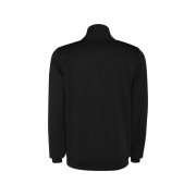 Спортивный костюм «Evans», мужской арт. 6402CH2225