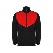 Спортивный костюм «Evans», мужской арт. 6402CH260