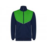 Спортивный костюм «Evans», мужской арт. 6402CH55226