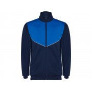 Спортивный костюм «Evans», мужской арт. 6402CH5505