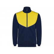 Спортивный костюм «Evans», мужской арт. 6402CH5503