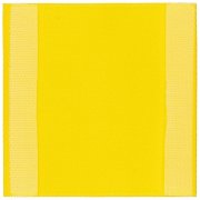 Лейбл тканевый Epsilon, L, желтый арт. 13942.80 Лейбл тканевый Epsilon, L, желтый арт. 13942.80