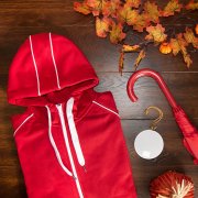 Толстовка мужская COIMBRA 320 Синий арт. 3998860.24