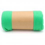 Плед PATIO, зелёный арт. 16008.24