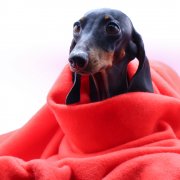 Плед PATIO, красный арт. 16008.05