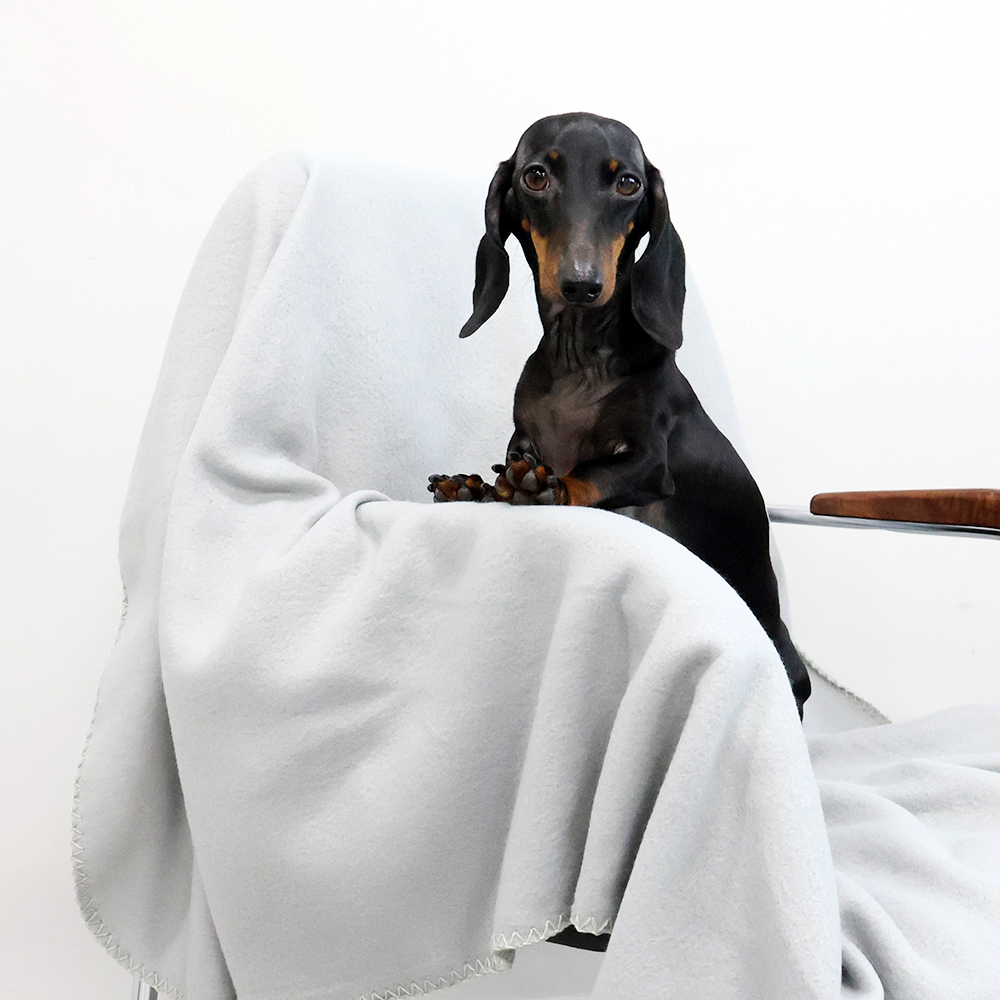 Плед PATIO, серый арт. 16008.10 Плед PATIO, серый арт. 16008.10